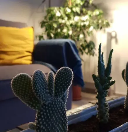 Casa Irma Pa Vendégház *